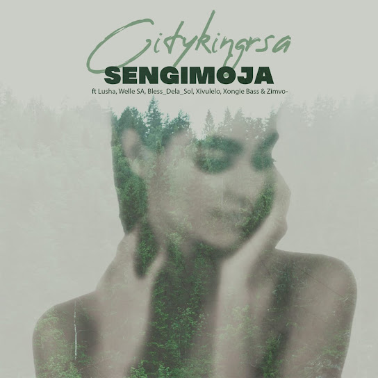 Citykingrsa – Sengimoja ft. Lusha, Xivulelo, Welle SA & Bless DeLa Sol