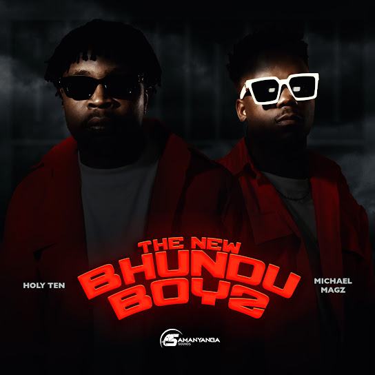 The New Bhundu Boyz Album
