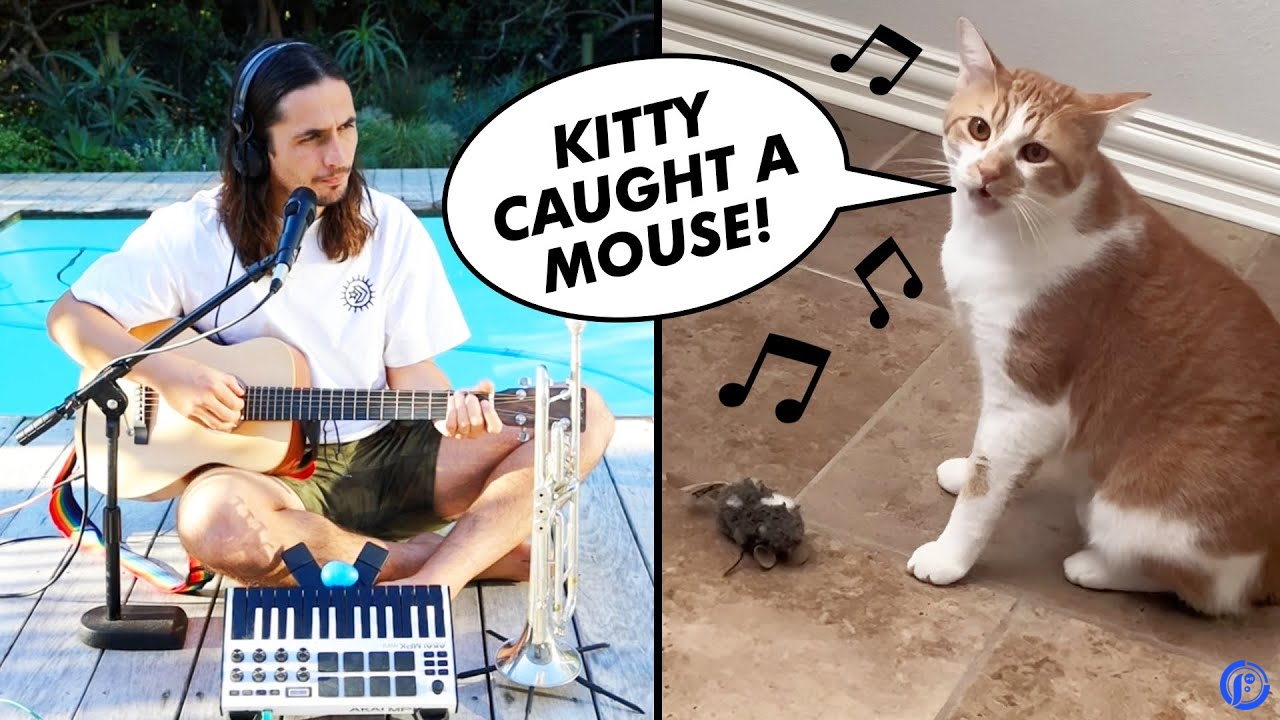 The Kiffness x Kyro Singing Cat – Kitty Caught a Mouse