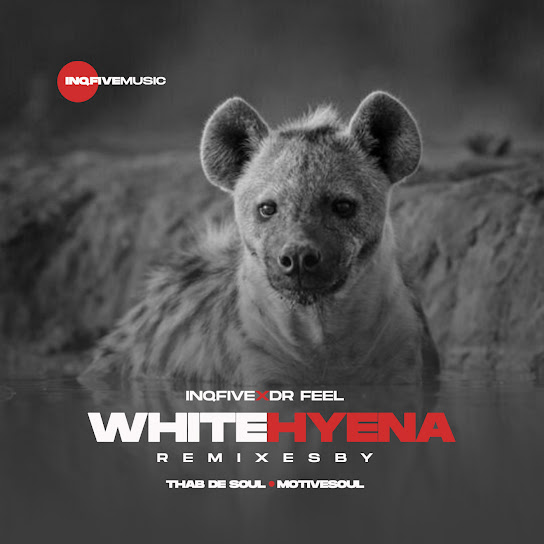 InQfive – White Hyena (Thab De Soul Remix) Ft. Dr Feel