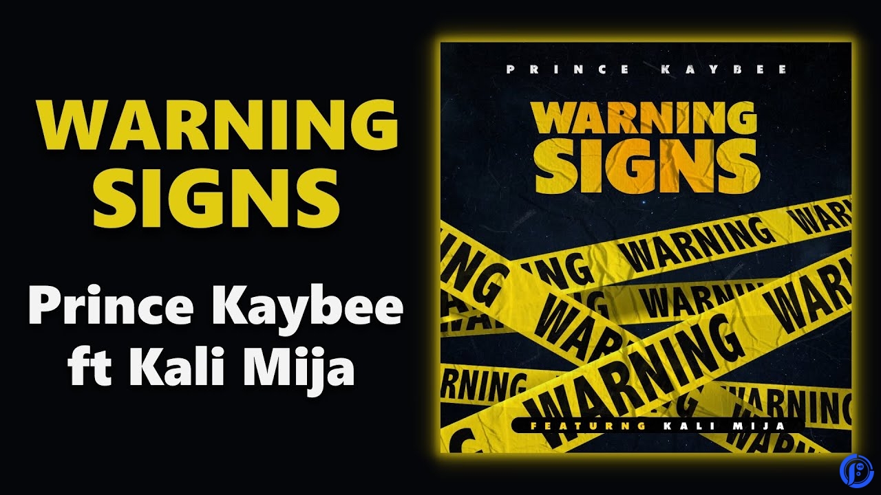 Prince Kaybee – Warning Signs | ft Kali Mija | Official Audio